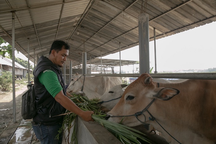 Rizki Hamdani Berdayakan Perekonomian Santri Melalui Sektor Agribisnis di Jombang