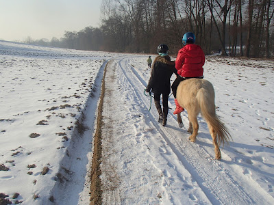 konie, jazda konna,jazda konna w zimie,jazda w terenie, zabawy na śniegu, zimowy piknik