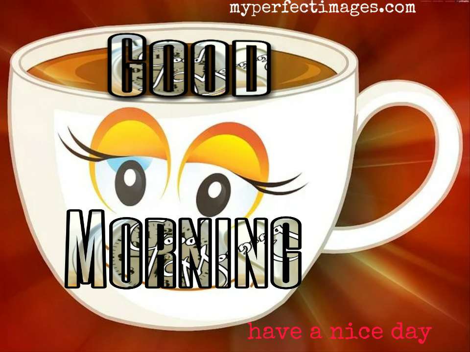 60+ Latest Good Morning Images Free Download,photos,pic gif,HD ...