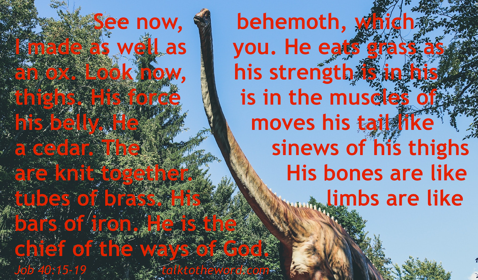 Palaeontology psalm-139-a-meditative-reading-audio-bible-youtube