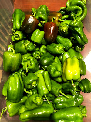 large container filled with mostly green peppers