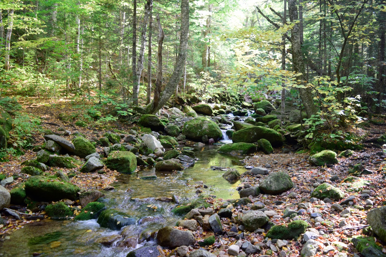 A Hiker's Guide to the NH48 Tripyramids Loop