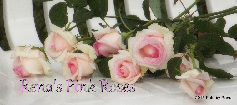 Rena's Pink Roses