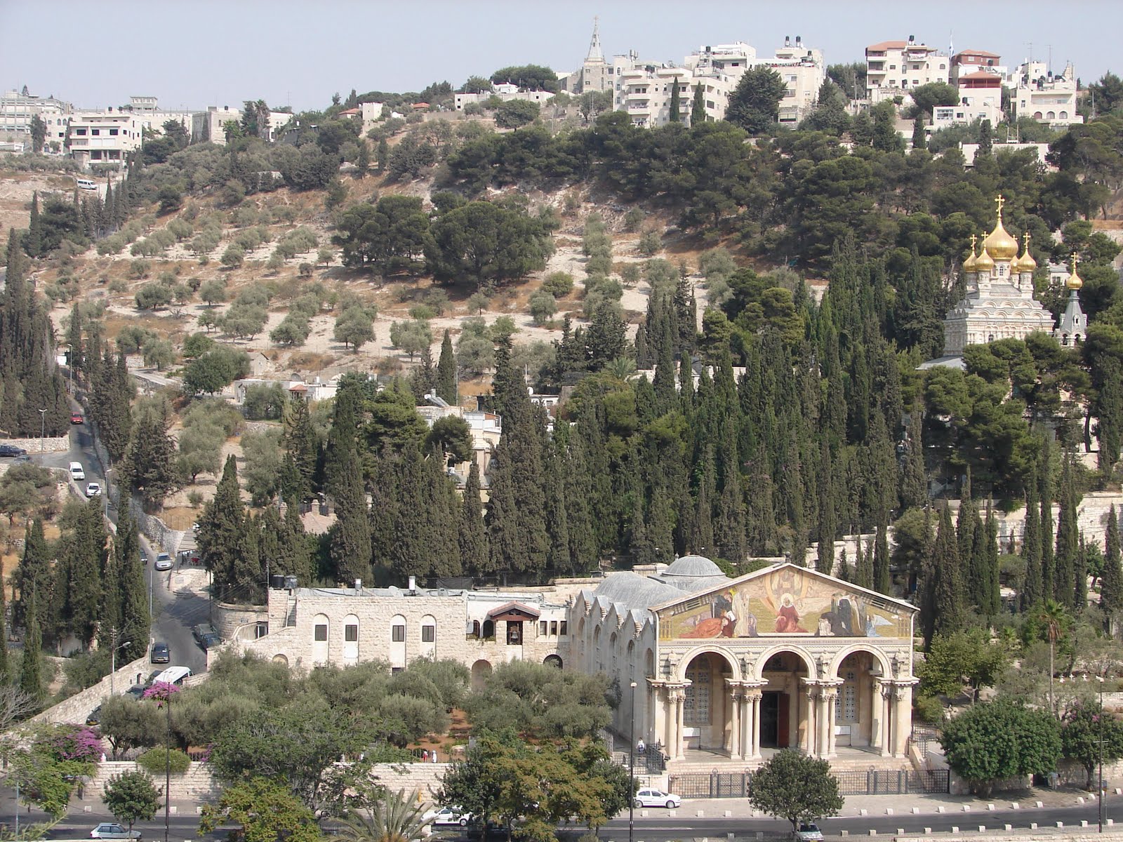 Lugares Sacros El Huerto de los Olivos