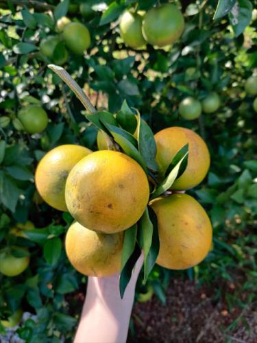 795bef2a 7c4c 422d b873 eafcb4db1f3c