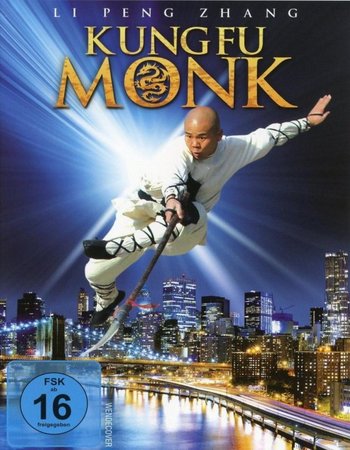 The Last Kung Fu Monk (2010) Dual Audio BluRay 480p 300MB