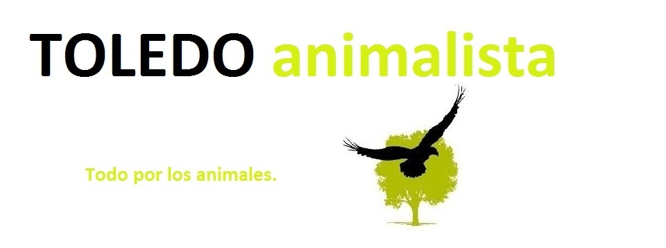 Grupo Animalista de Toledo