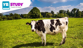 Transgenic Animals : Defination, Methods, Examples & Application