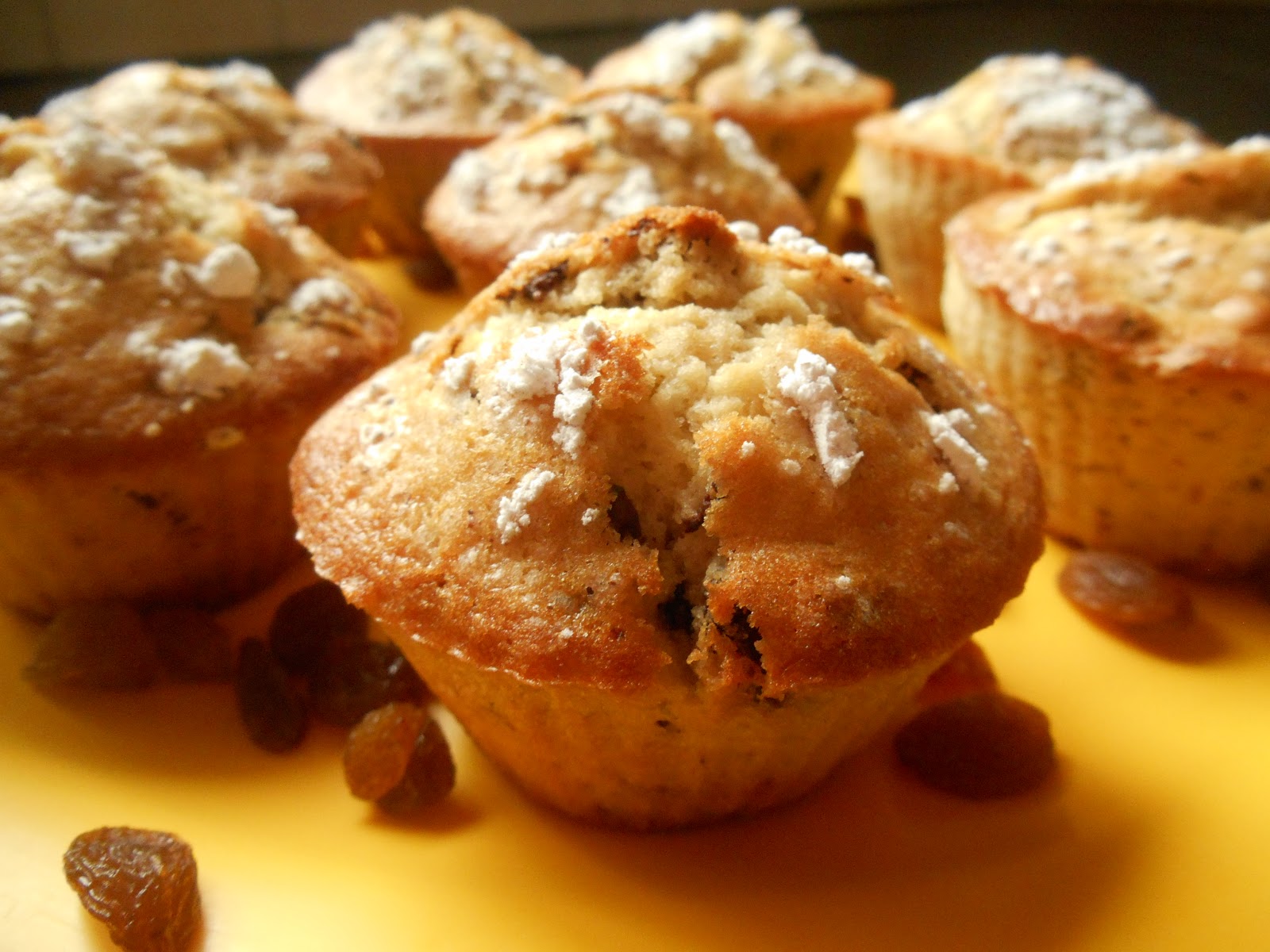 Adventures of a Lazy Cook The Joy of Baking Muffins Raisin and Choco