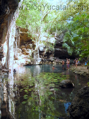 Cenotes en Yucatan