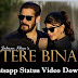 Tere Bin Song Whatsapp Status Video Download - Salman Khan