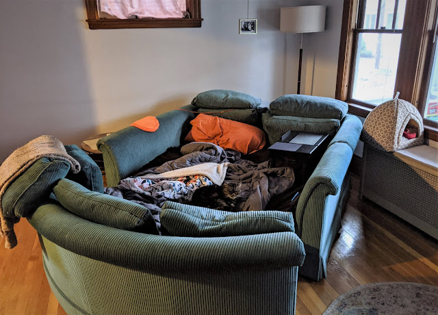 A 4 piece couch reconfigured to be largerly enclosed so people can lie in it. Also, there is a cat sitting in the middle of the couch.