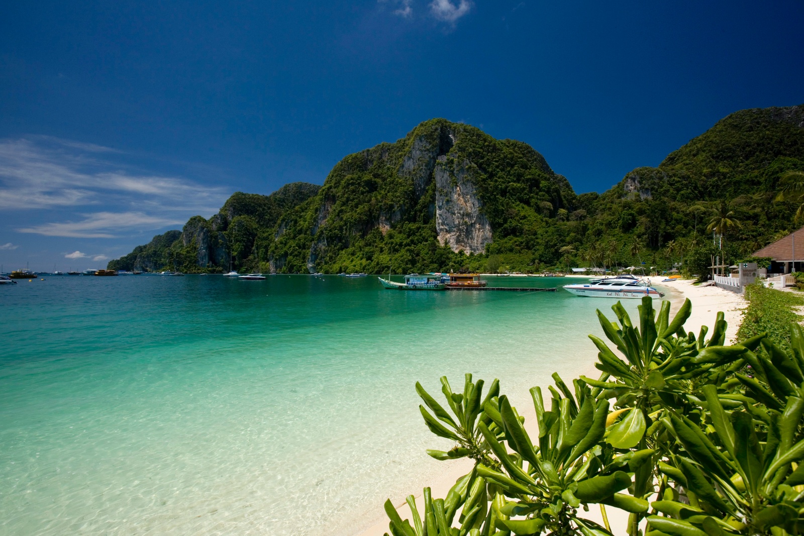 Thing to do in Koh Phi Phi islands