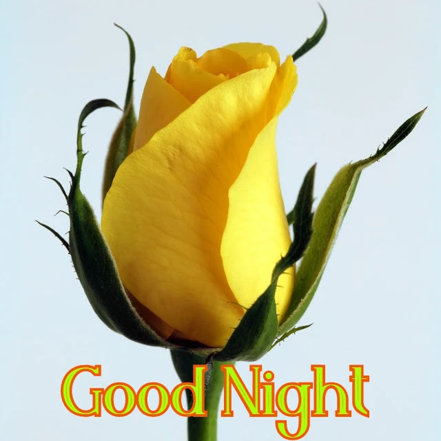 Good Night HD Images Collection Good Night HD Images Collection