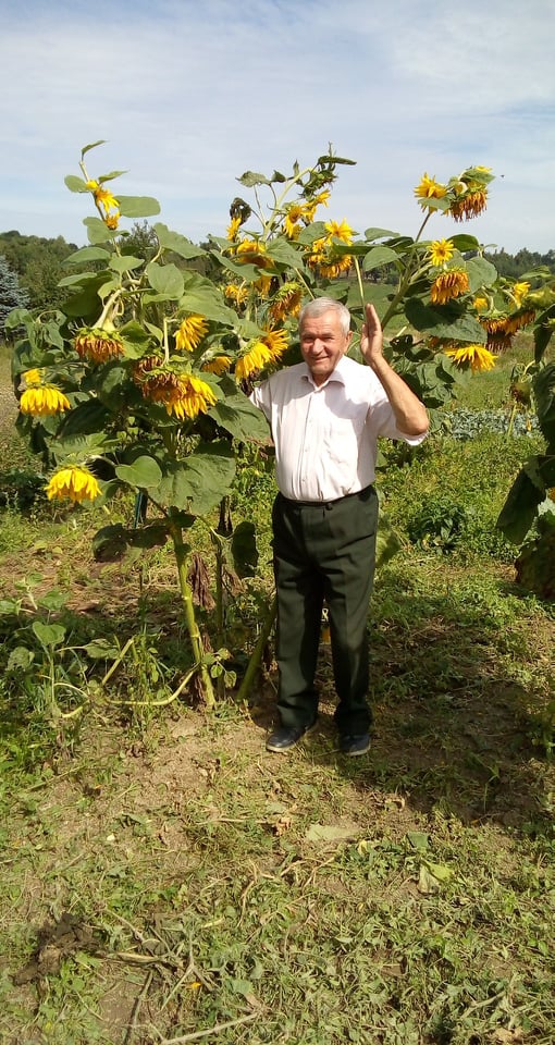 Our Polish History Eugeniusz & Sunflowers