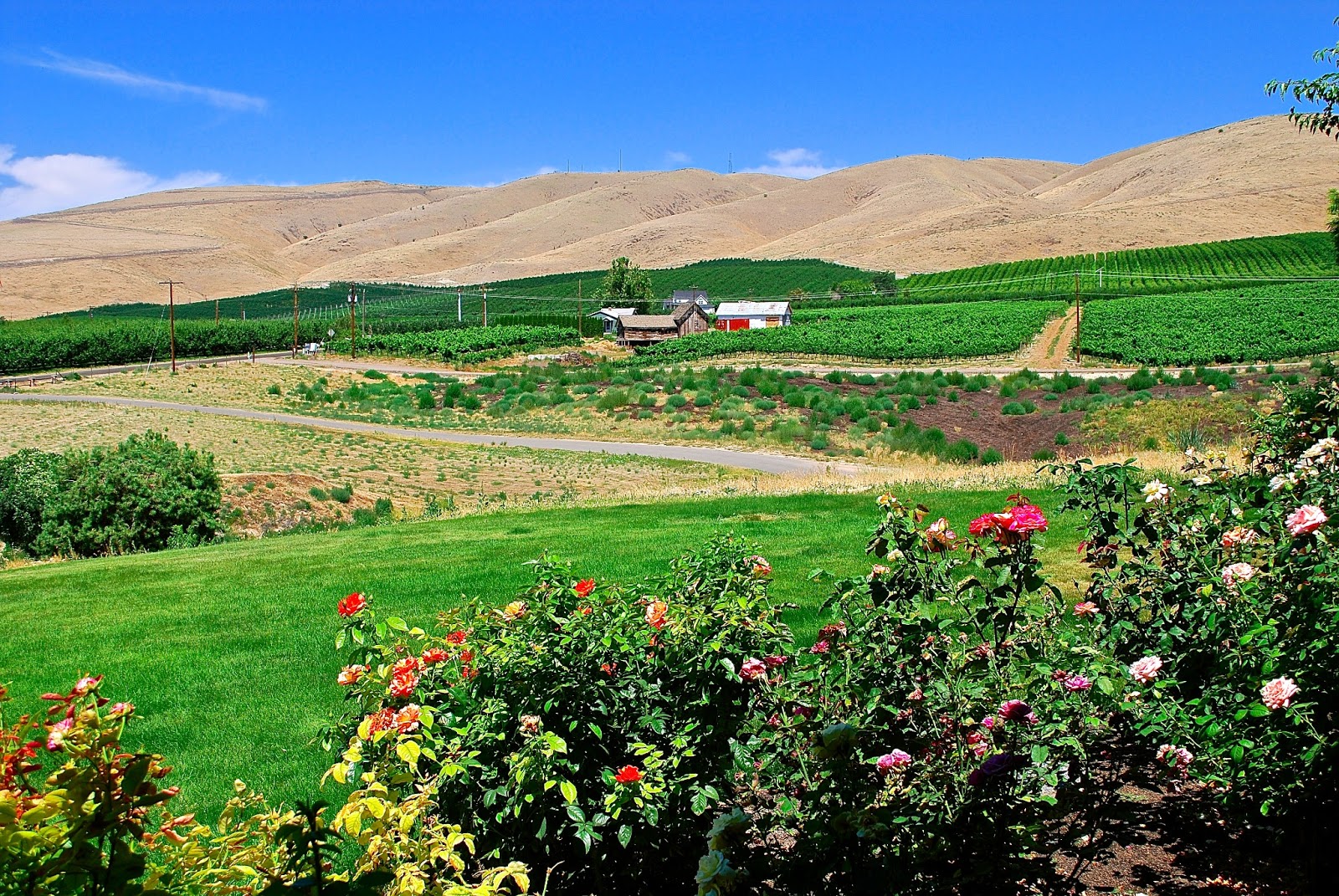 Wanderlust Traveler Yakima Valley, Washington (Wineries)