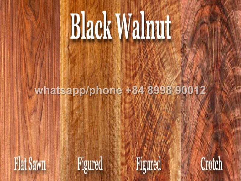 Walnut Wood Characteristics