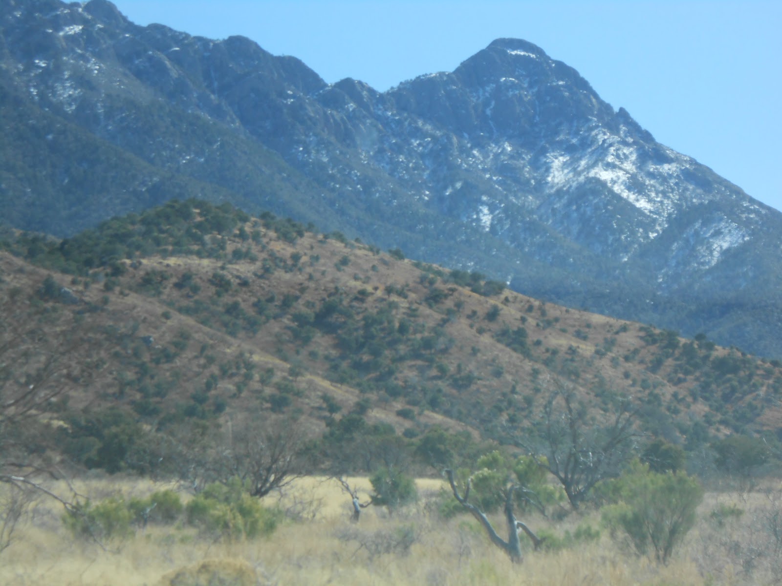 Winter Walsh Wandering Madera Canyon