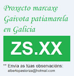 Marcaxe de Gaivotas