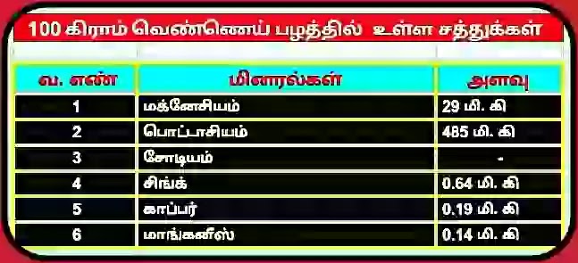 வெண்ணெய் பழத்தில் உள்ள தாது சத்துக்கள்