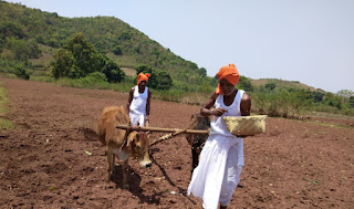 Farmer sowing seeds