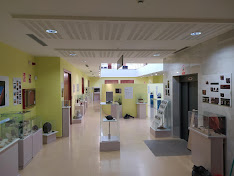 ÁREA DE GEOLOGÍA Y PALEONTOLOGÍA, MUSEO ALTO BIERZO