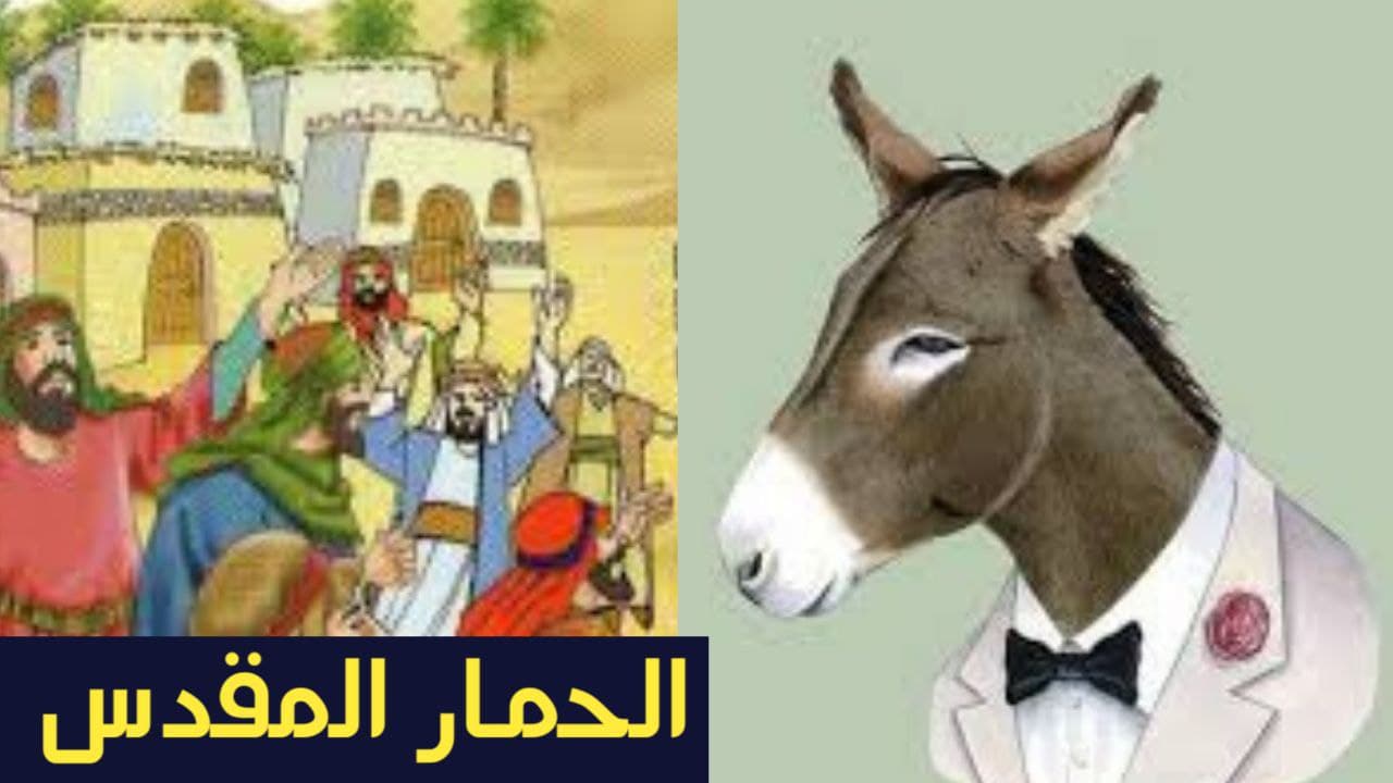 كيف تصبح حمار