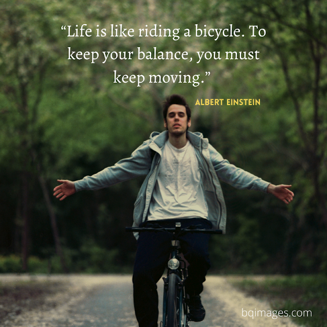 50+ Best Life Quotes In English for WhatsApp DP bqimages Beautiful