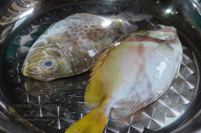 Amie S Little Kitchen