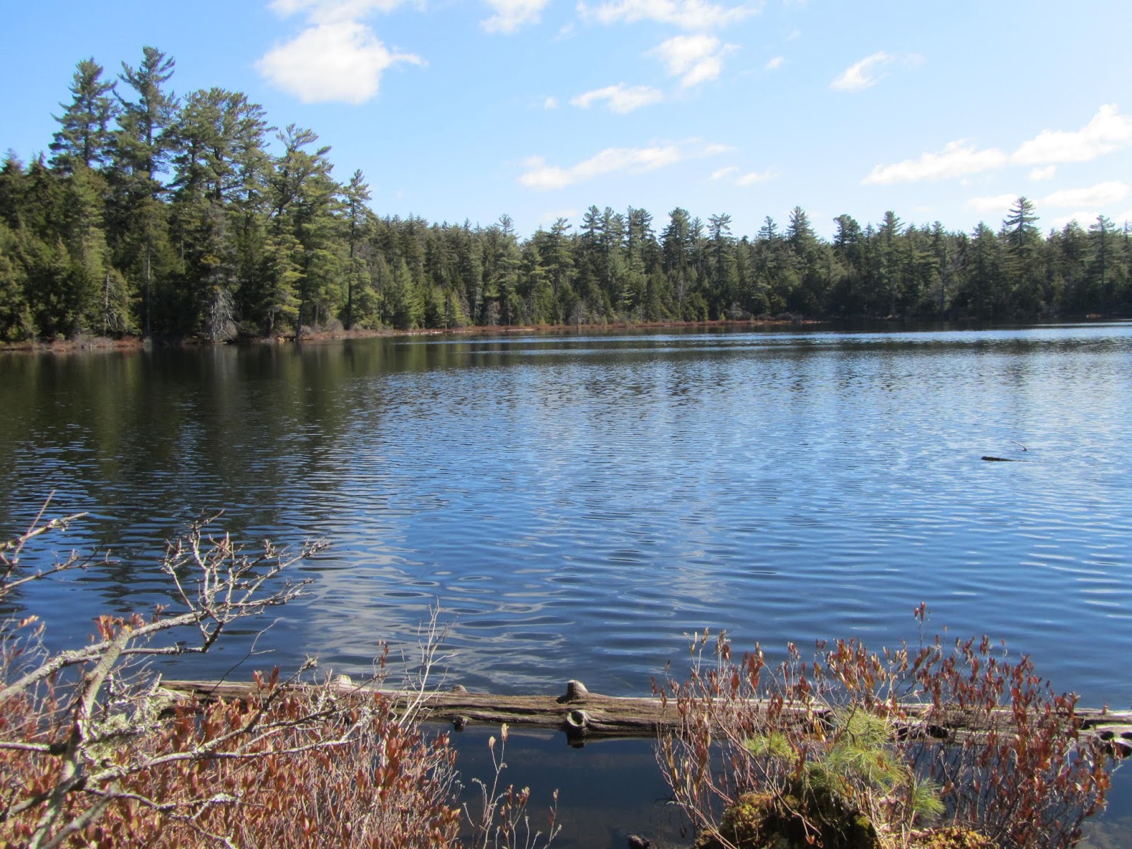 Tomcat's Outdoor Adventures Hiking the Floodwood Loop