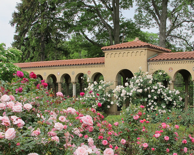 Garden Bloggers Fling The Franciscan Monastery Gardens Sanctuary and