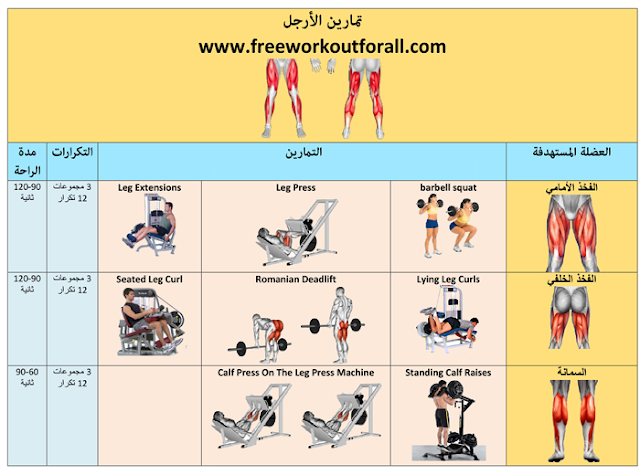 جدول تمارين كمال الاجسام 6 ايام