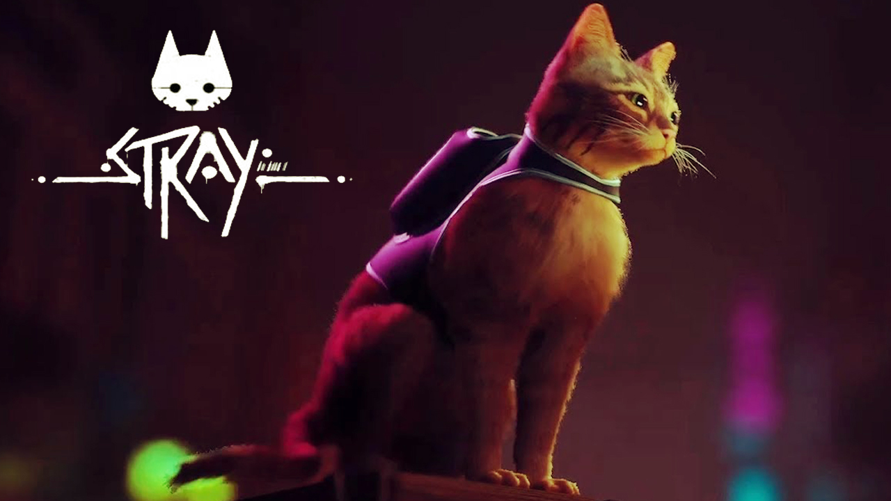 PlayStation Exclusive Game Stray has released a new gameplay trailer