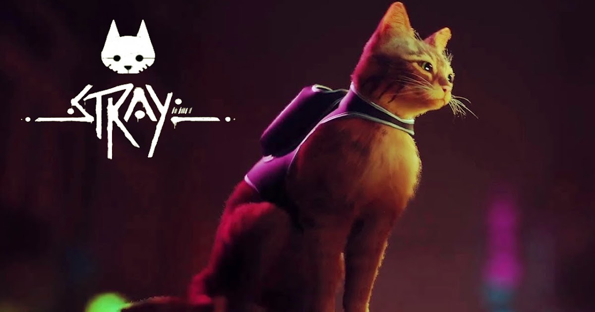 PlayStation Exclusive Game Stray has released a new gameplay trailer