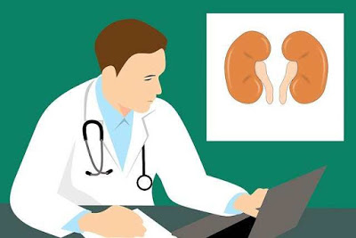 ما هي الأطعمة التي تمنع تكوين حصوات الكلى ما هي الأطعمة التي تمنع تكوين حصوات الكلى