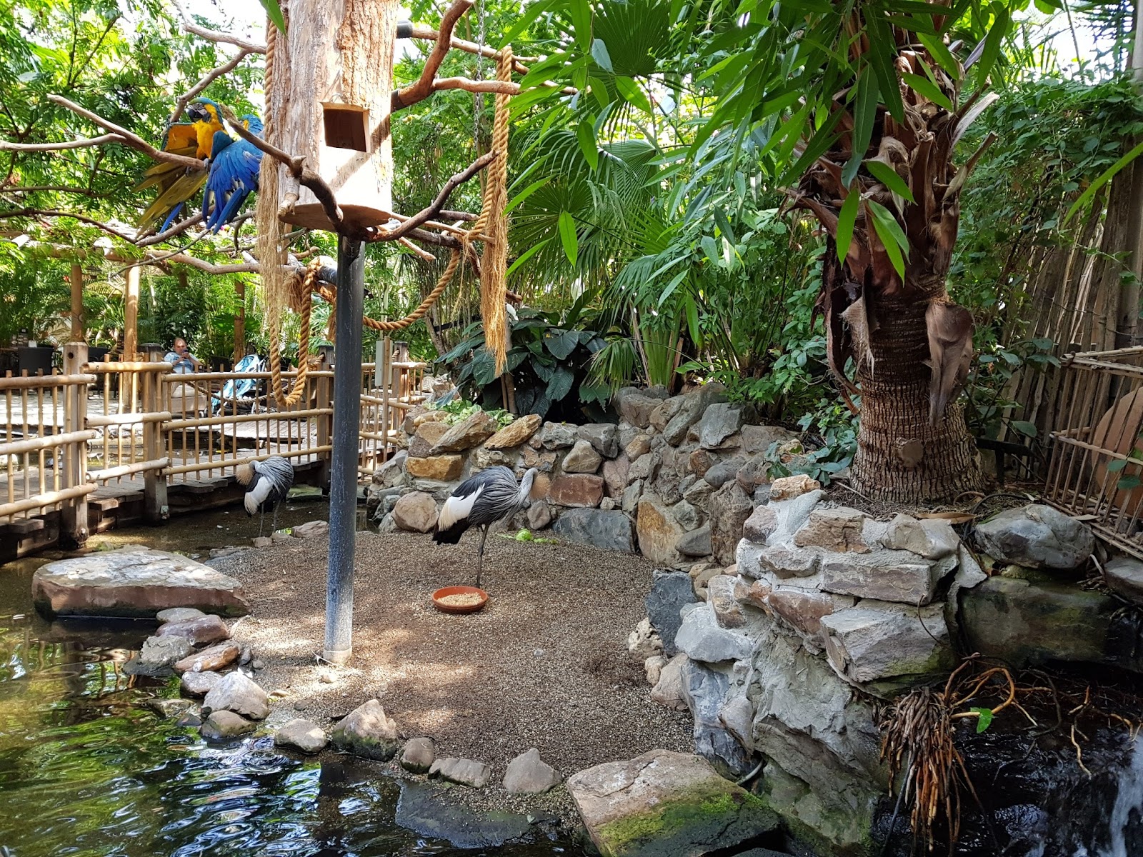 Staying at Center Parcs In Europe Counting To Ten