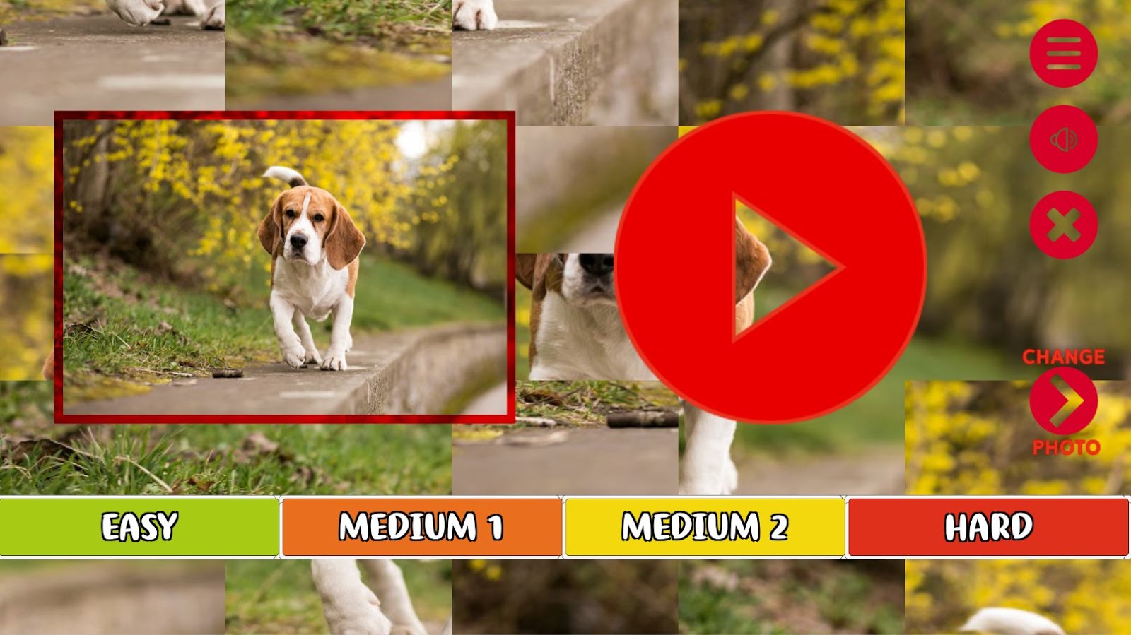 Animal Sounds: Animal Sounds, Photos and Games