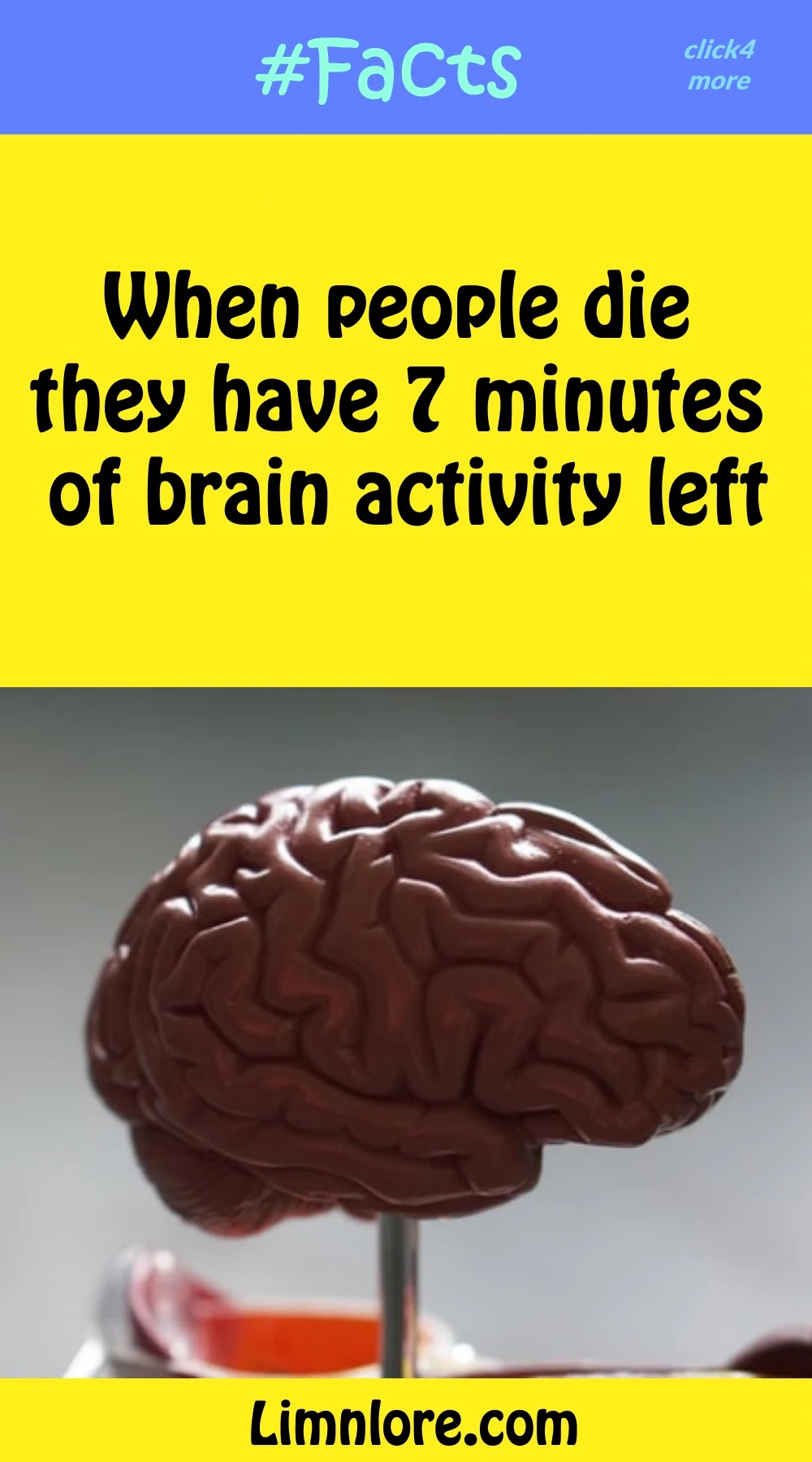 When people die they have 7 minutes of brain activity left.