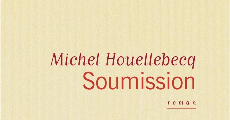 INSOTENSUI VIE ET DELIRES LIVRE SOUMISSION de Michel