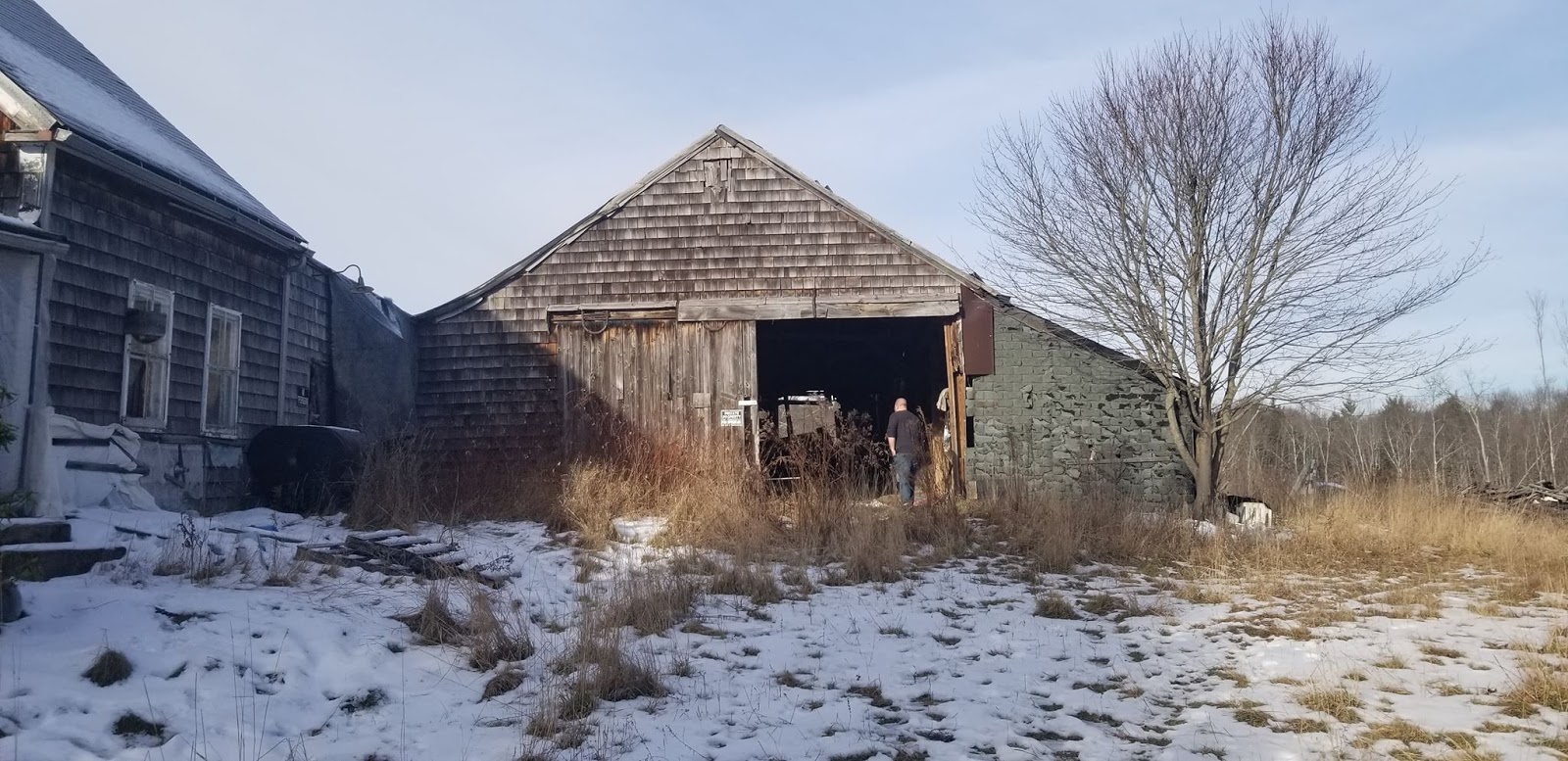 Old Blue Genes Christian Petersen