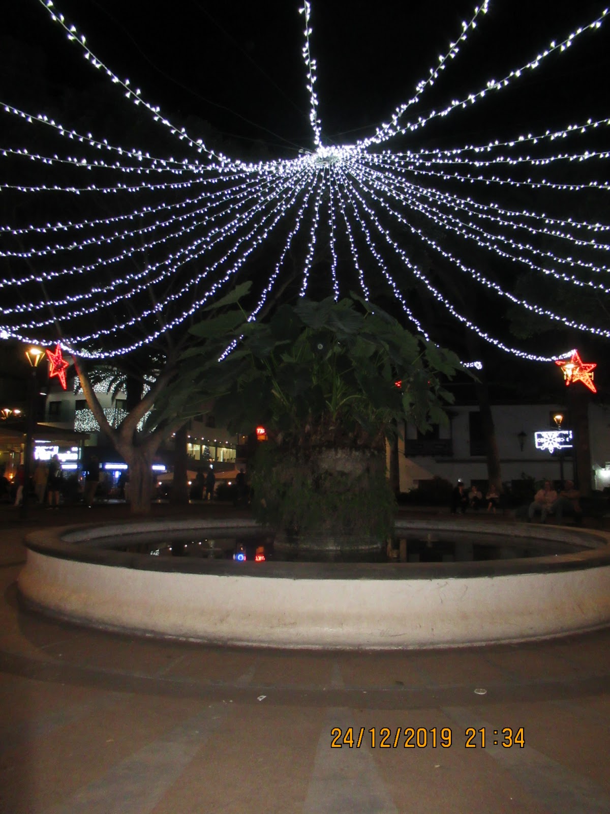 Weihnachten 2022 Teneriffa Bloggmaus Weihnachten auf Teneriffa