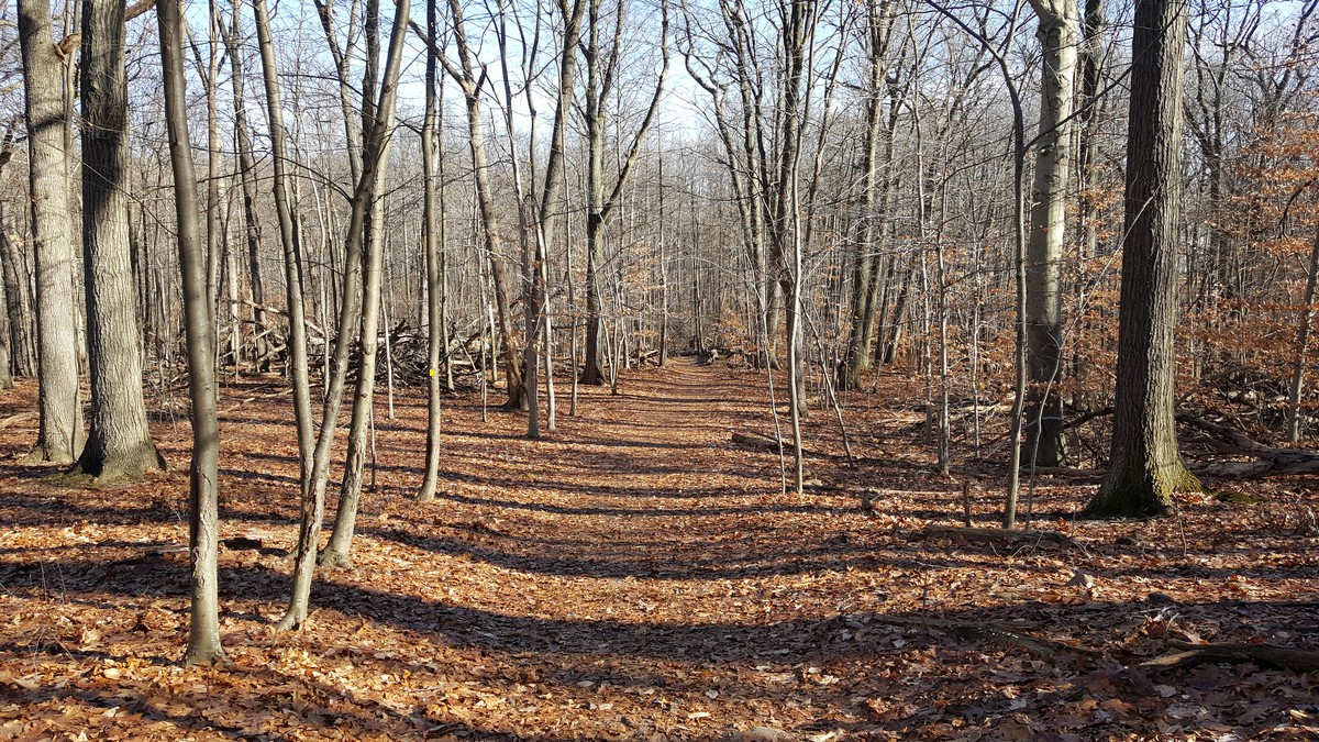 Harriman Hiker Harriman State Park and Beyond Flat Rock Brook Nature