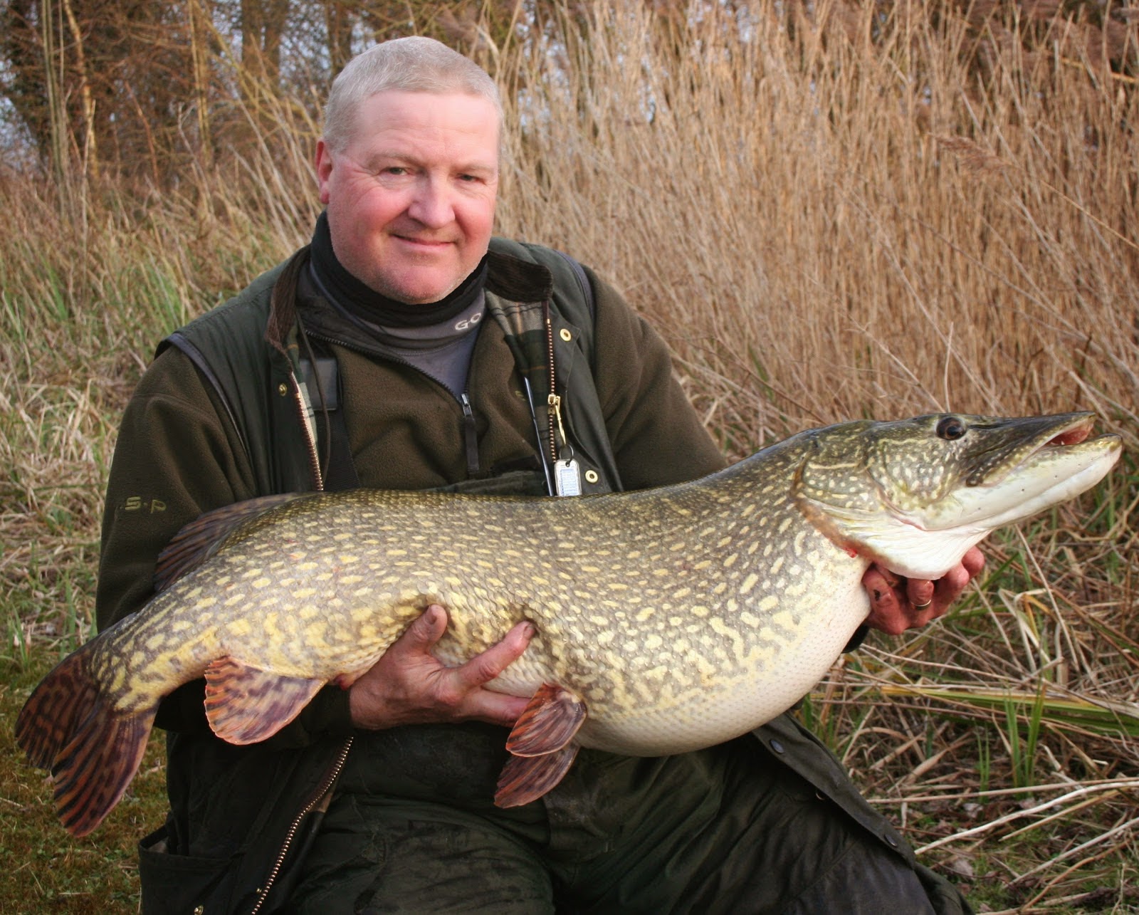 Water Wolf An Underwater Revolution!