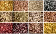 pulses pulses