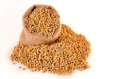kacang kedelai,manfaat kacang kedelai,khasiat kacang kedelai