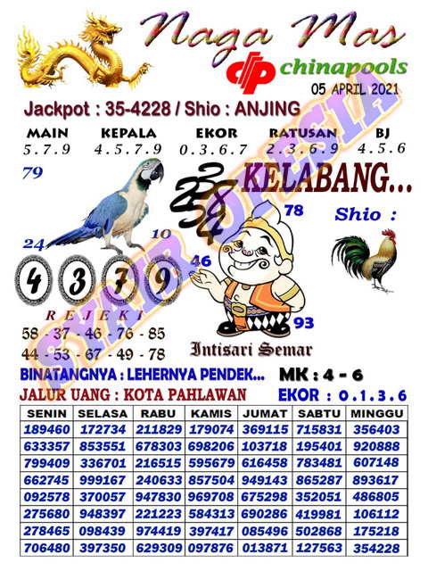 Opesia Ws Hari Ini