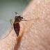Ocho puntos rojos en Misantla, por dengue