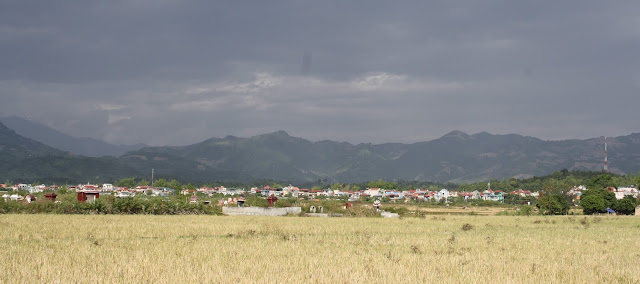 Retour à Diên Biên Phu, les collines des combats IMG_0912