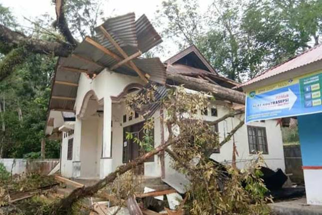 Ditimpa Pohon Tumbang, Kantor Camat Mapattunggul Selatan Luluhlantak