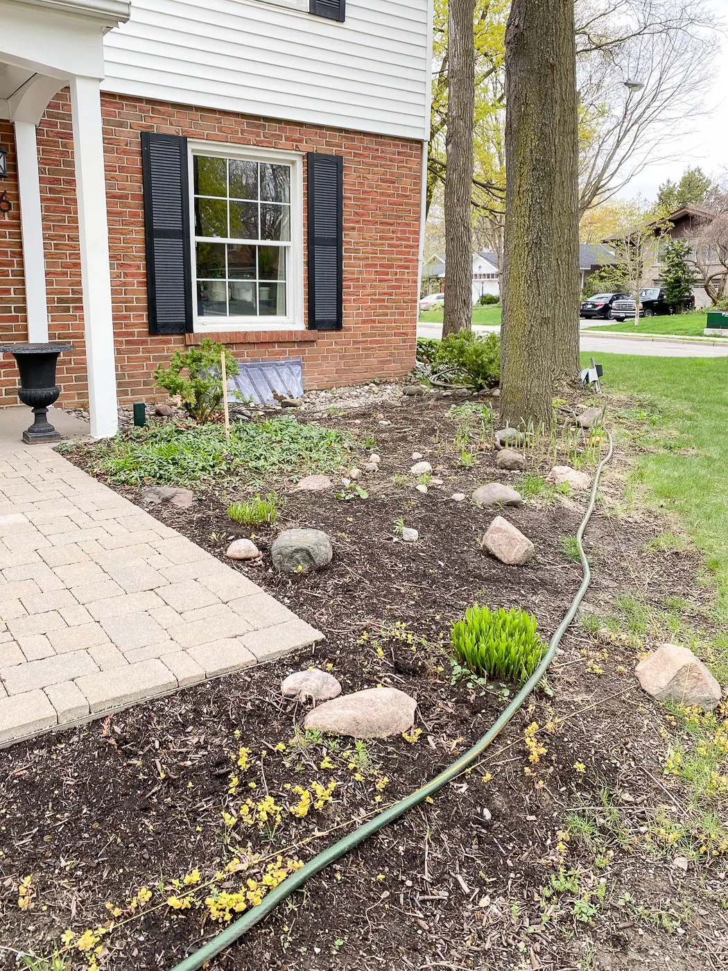 front garden makeover before